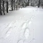 Little In Winterberg-neuastenberg