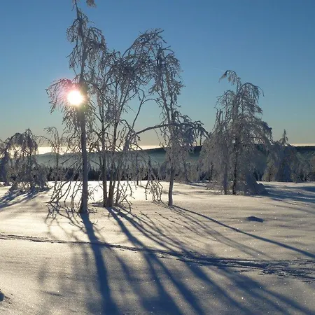 Little In Winterberg-neuastenberg Apartment Winterberg