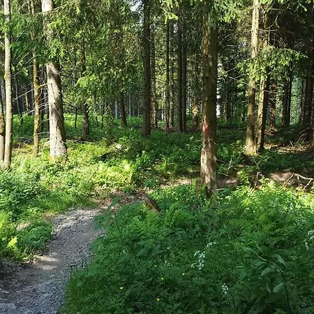 Little In Winterberg-neuastenberg * ווינטרברג