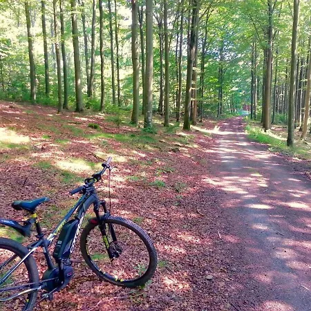 Little In Winterberg-neuastenberg *