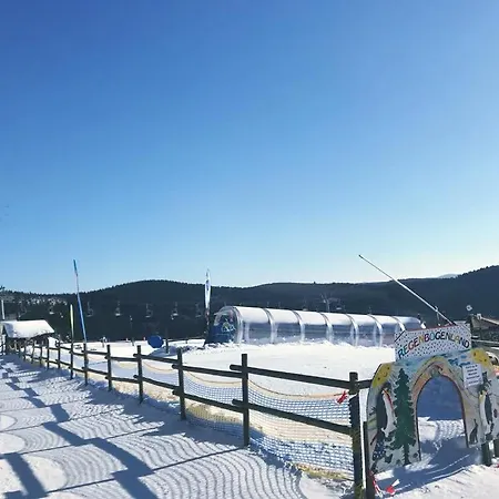 Little In Winterberg-neuastenberg Apartment Winterberg