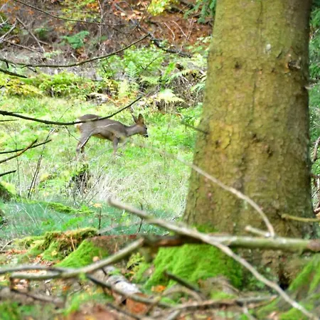 Little In Winterberg-neuastenberg Apartment Winterberg