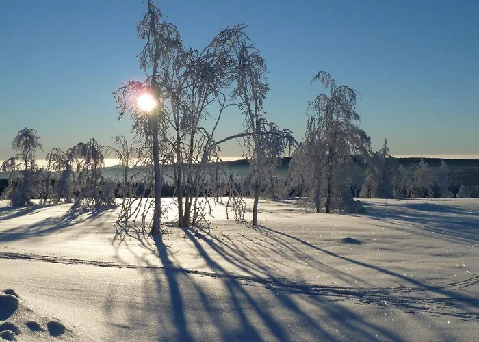 Little In Winterberg-neuastenberg Apartment Winterberg