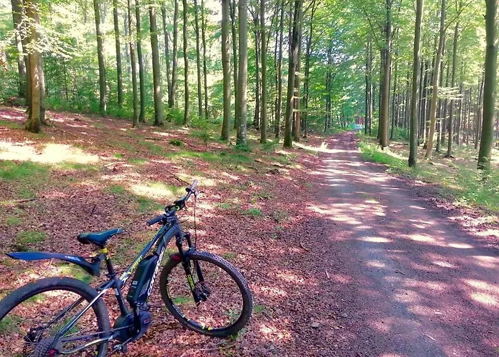 Little In Winterberg-neuastenberg *